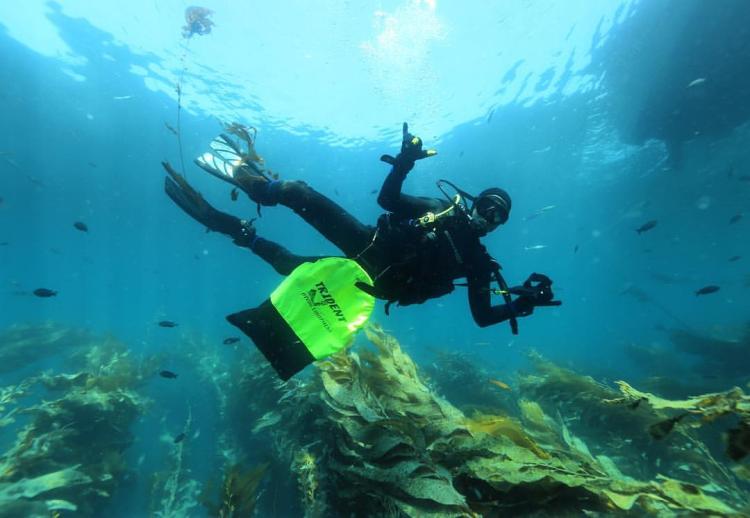 Picture of Dan scuba diving