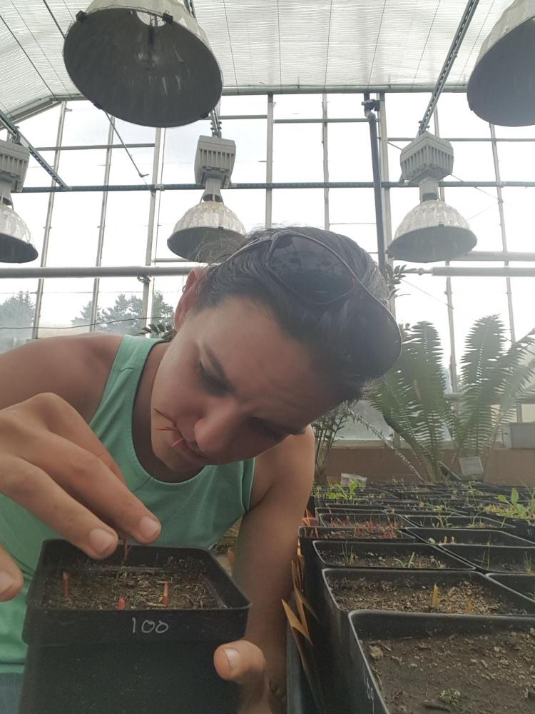 Julie in the greenhouse