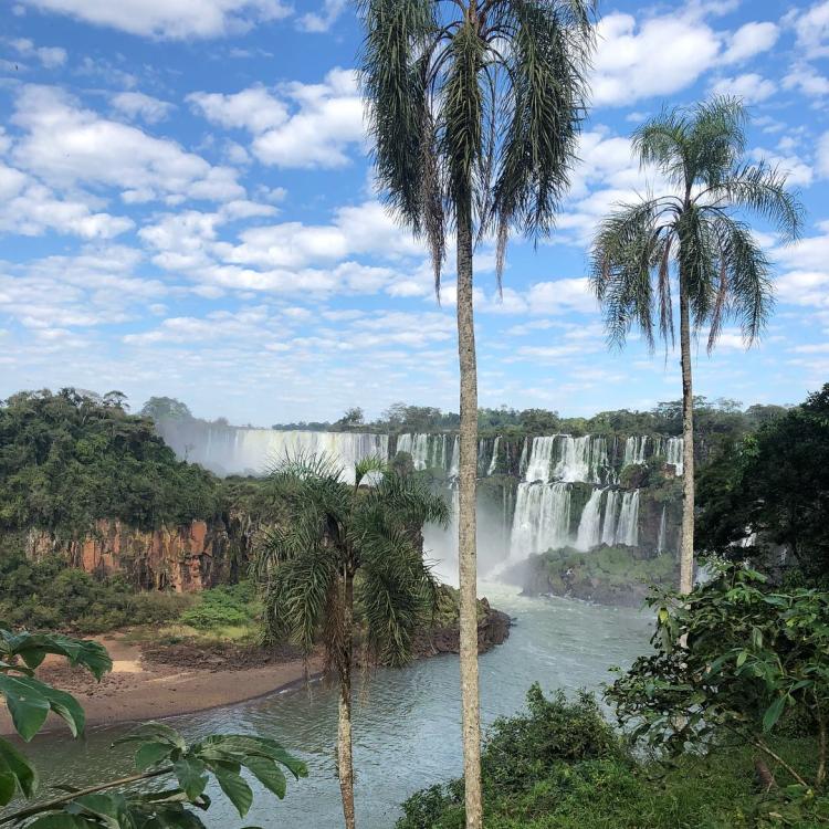 Tropical trees are seen before a waterfall.