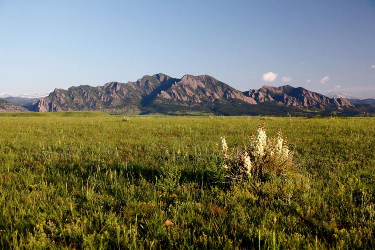 View of the flatirons - photo by Jeff Mitton