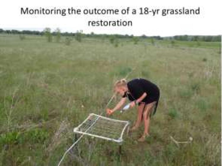 student netting a field stie