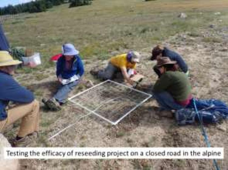 students making a grid on a test site