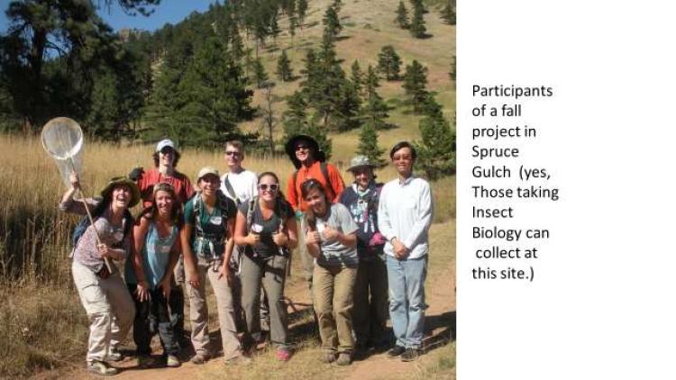 students at a field site, several are holding insect nets