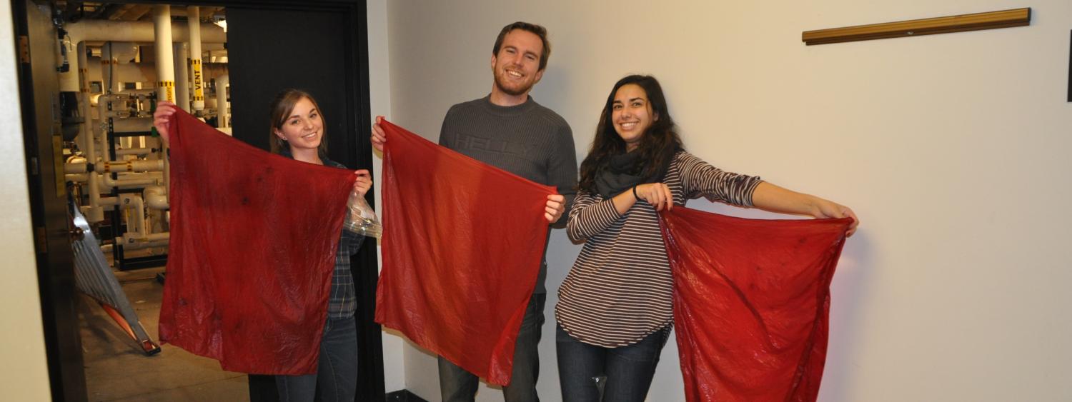 Students dyeing silk. 