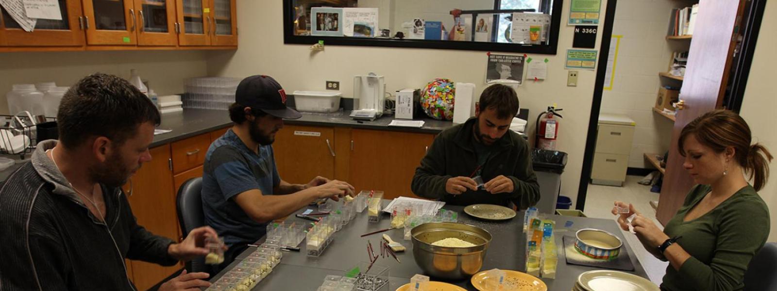 Students working in a lab, measuring insects.