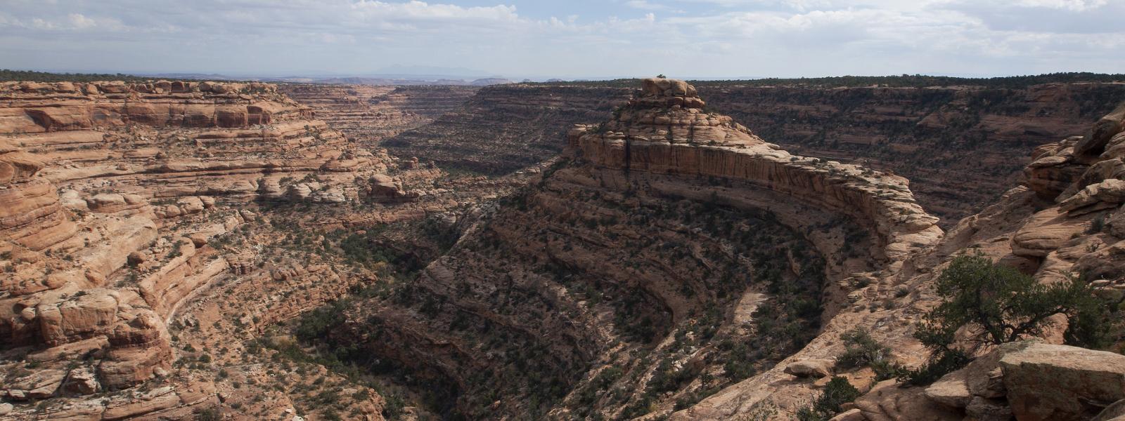 The Citadel, Bears Ears National Monument. Vast canyon landscape peppered with shrubs - photo by Jeff Mitton