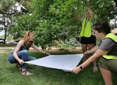 Metal tags, which do not harm the trees, are used to tag and identify trees as part of the Boulder Apple Tree Project. 