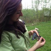 Kathryn Grabenstein holds a bird and examines its wing.