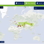 Map depicting a sample distribution of species in the Middle East and Asia.