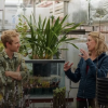Suding greenhouse