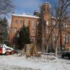 The stump of the “Old Main Cottonwood” on Thursday, Jan. 20, 2022. The tree has been taken down after 140 years, but not before cuttings were taken so that clones of the tree can be propagated. The disc will be saved for artists as raw material.