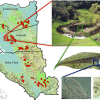 Map of the Bay Area zooming in to show parasites within a tadpole within a pond.