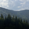 SC