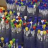 various test tubes organized and seperated by clear plastic bottles