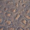 Aerial shot of the fairy circle landscape - photo by Lauren Shoemaker