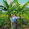 Saunders gestures toward a stand of banana trees.