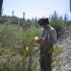 Rob Laport examines a flowering plant