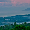 Lowland tropical forest.