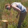 Morphew examines an artificial beehive.