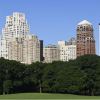 Skyscrapers behind a line of trees and foliage.