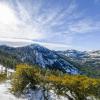 Study area in California's Sierra Nevada mountains (Vladimir Pravosudov)