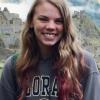 Wustenberg - Honors Thesis