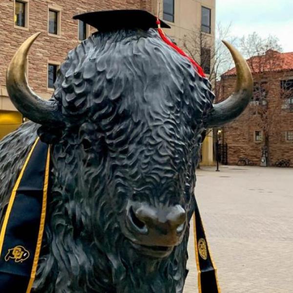 The Folsom Field buffalo statue wearing a mortar board and tassels