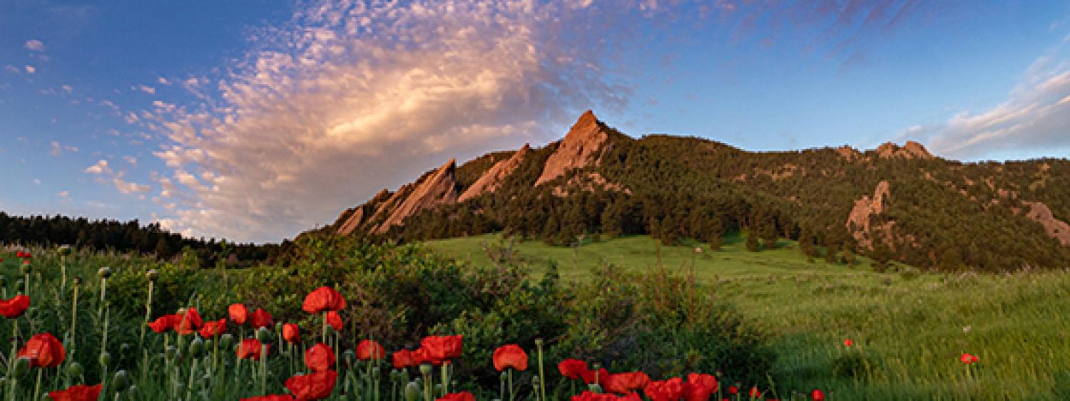 Flatirons with red flowers