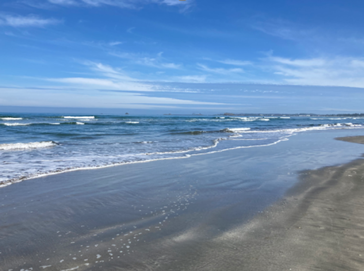 Robin Beach