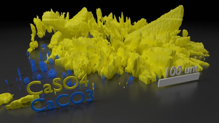 3D Volume calcium sulfate and calcium bicarbonate