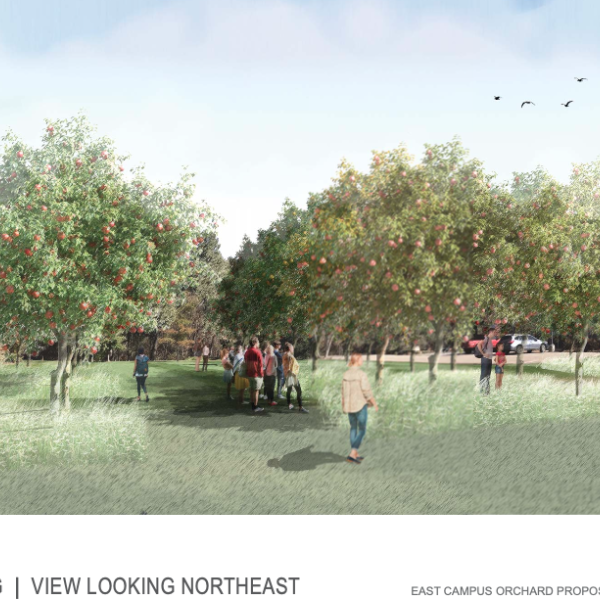 concept image of orchard project