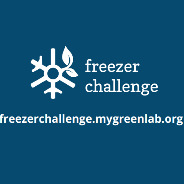 freezer challenge 2025 logo