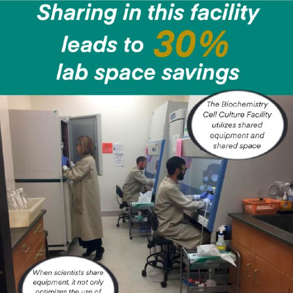 Green Labs Poster