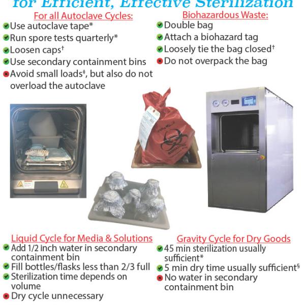 Auto Clave