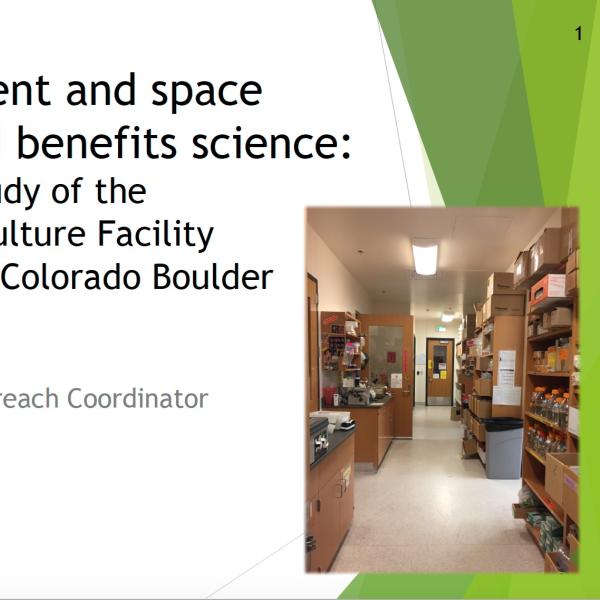 Presentation slide