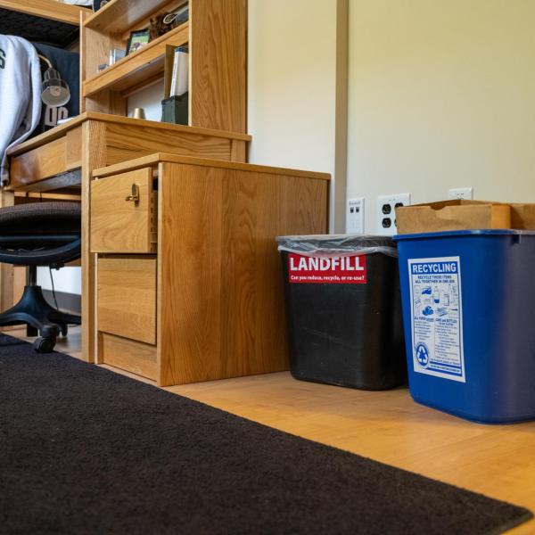 Dorm room bins