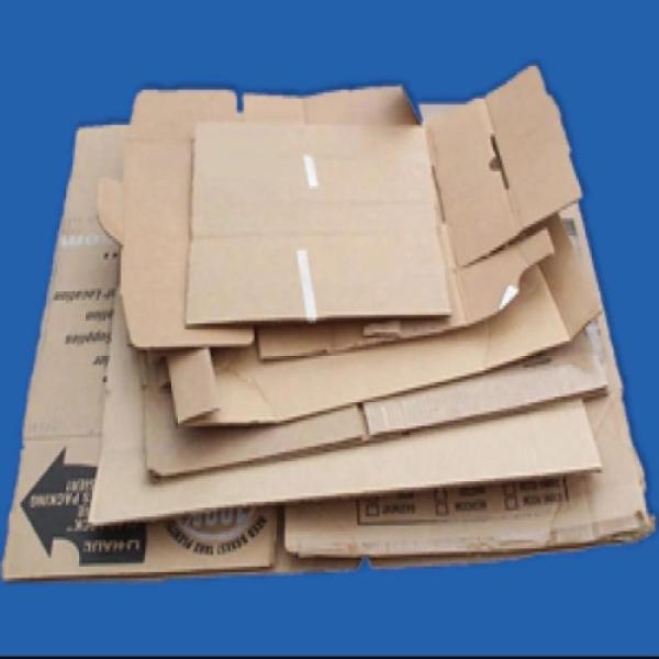 Cardboard