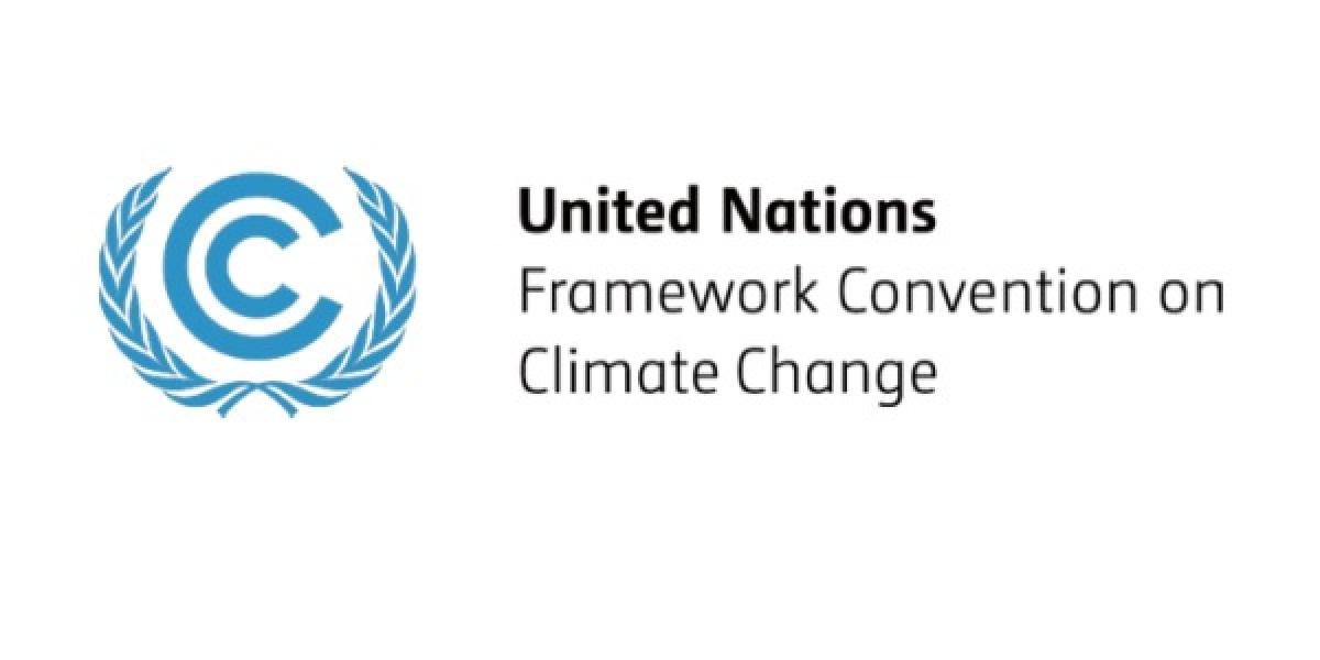 United Nation logo