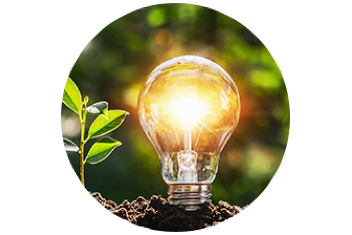 A lightbulb in soil with a small plant growing beside