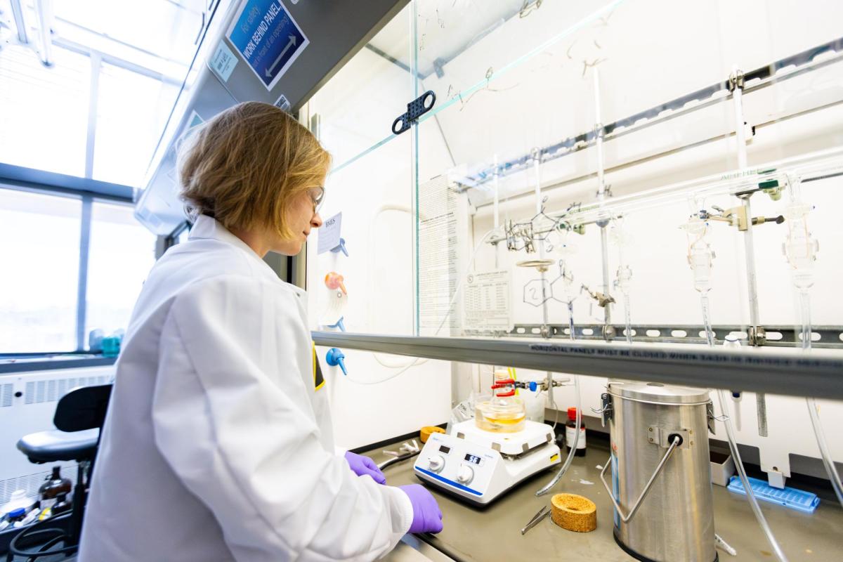 Lab