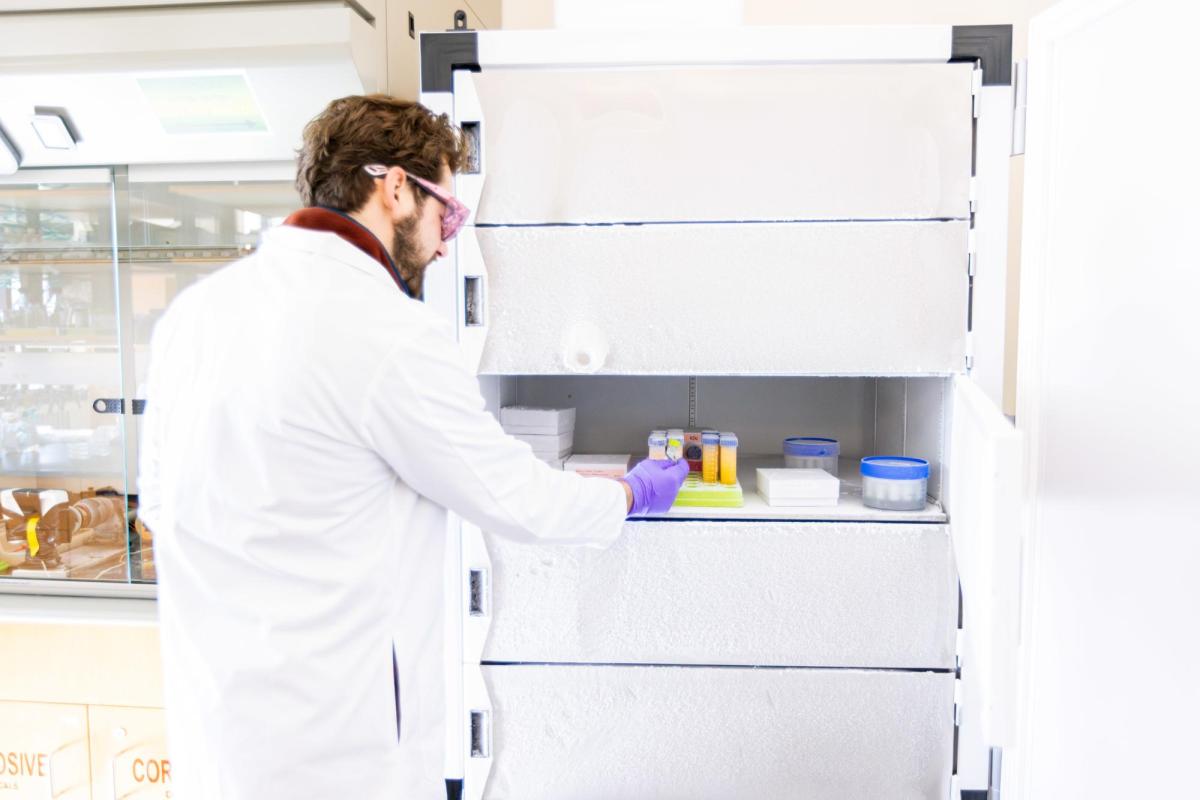 Lab