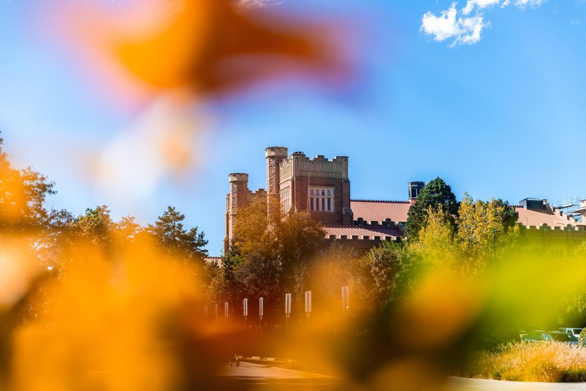 Campus in the fall