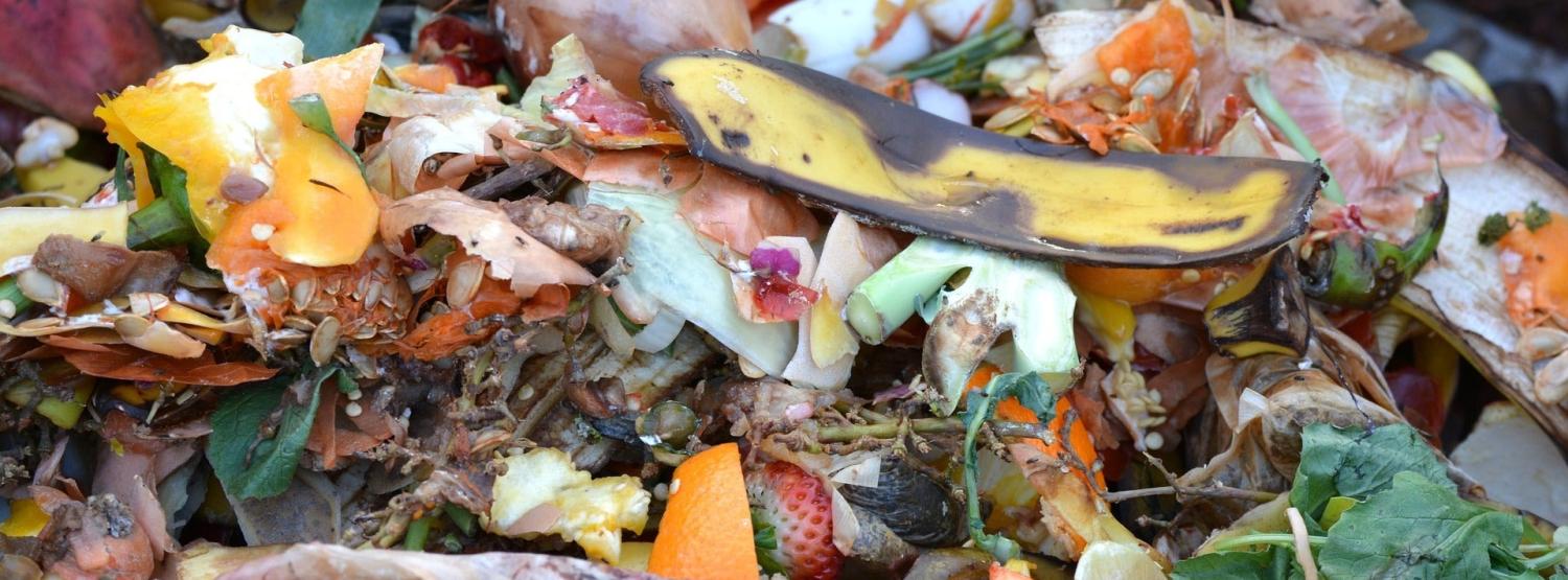 Food scraps