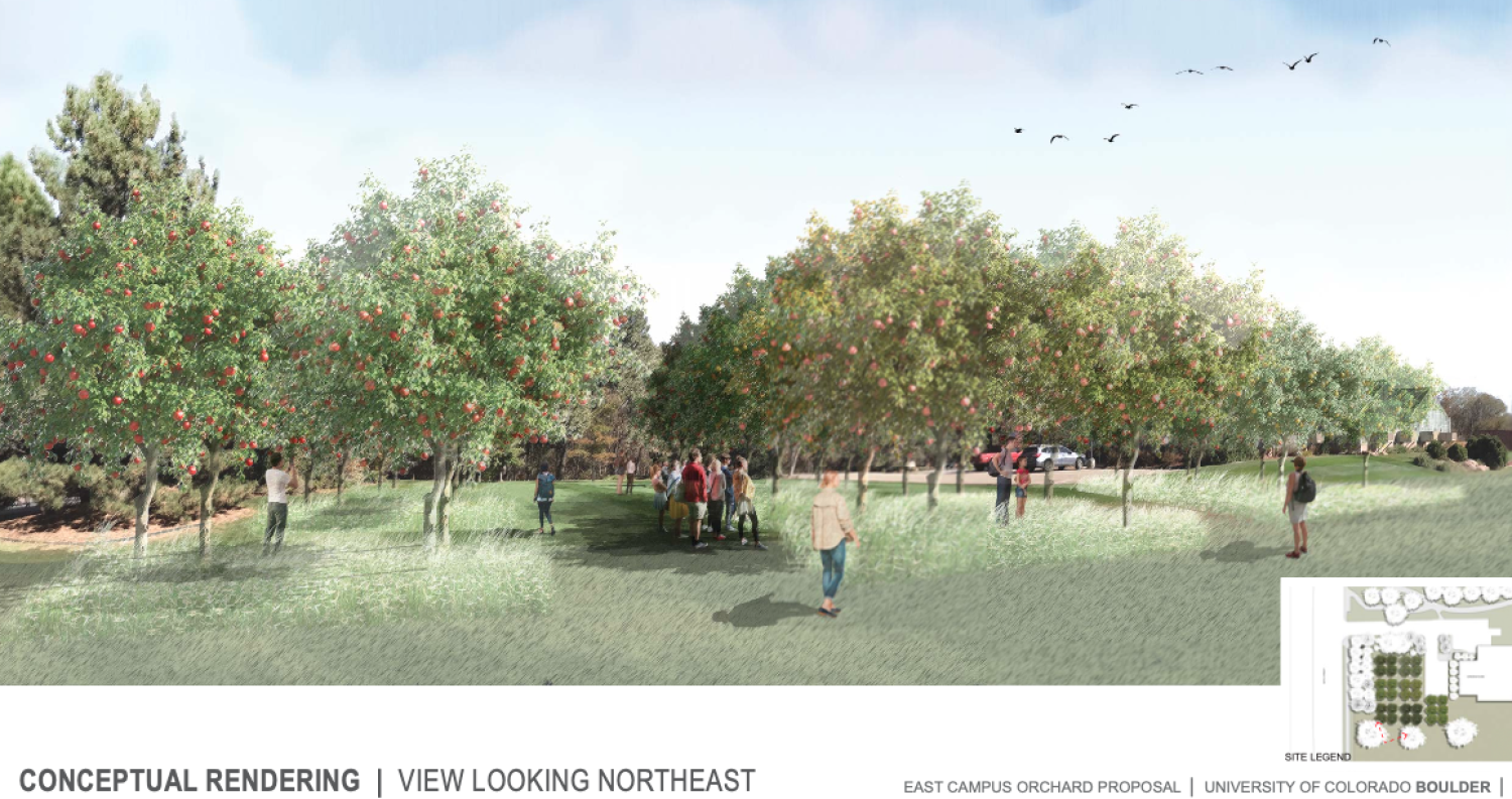concept image of orchard project