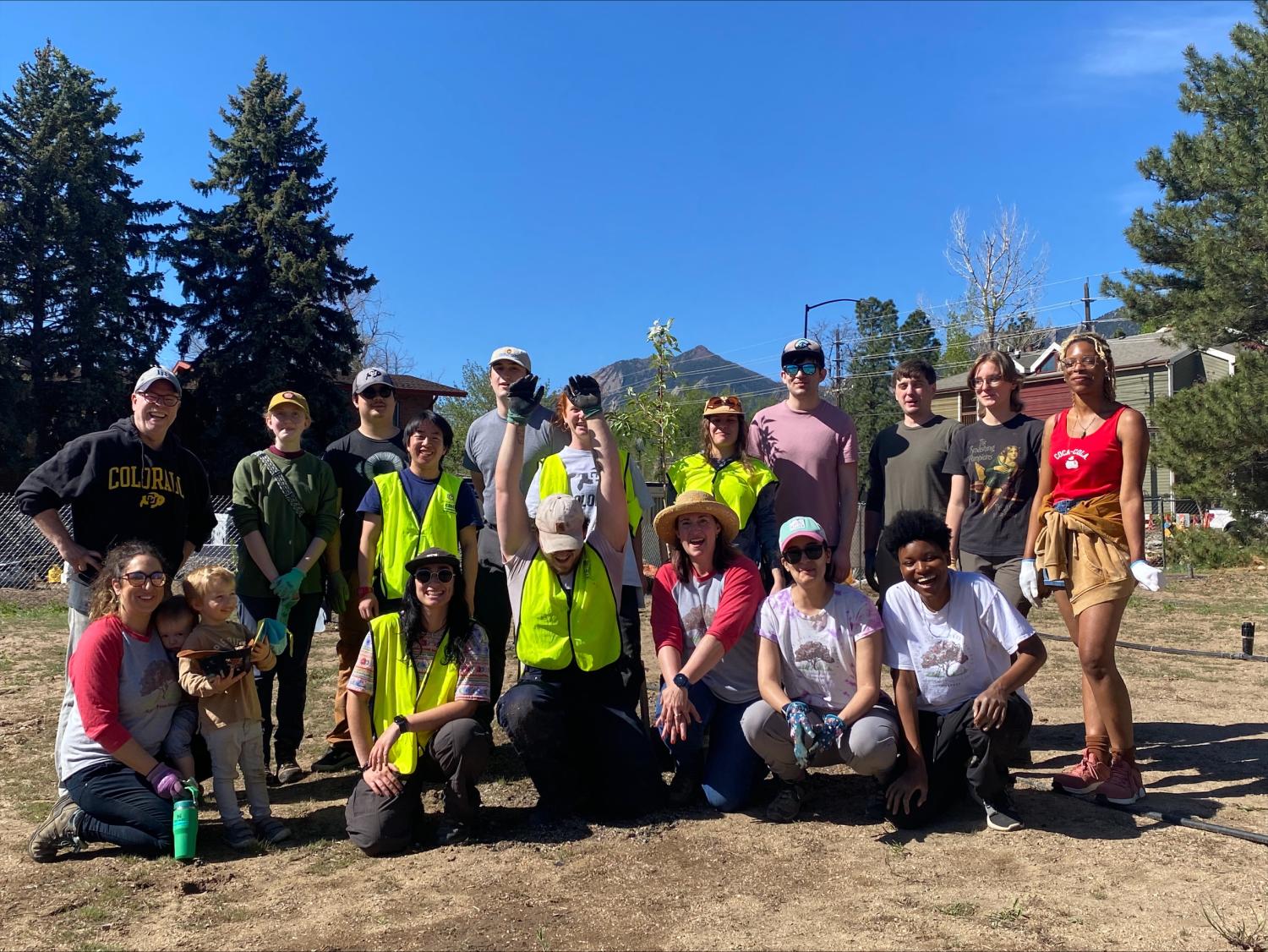 orchard planting
