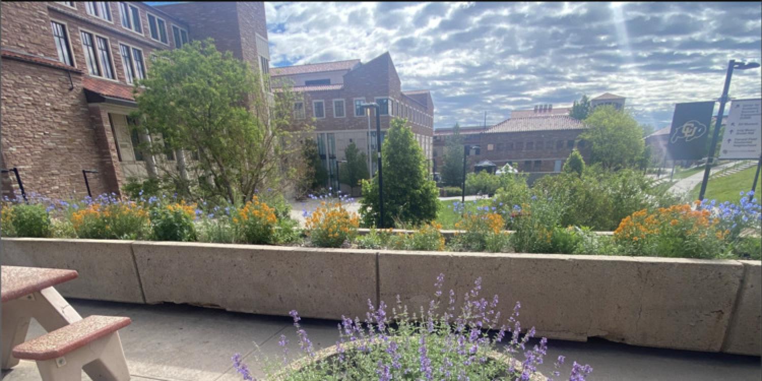 umc garden