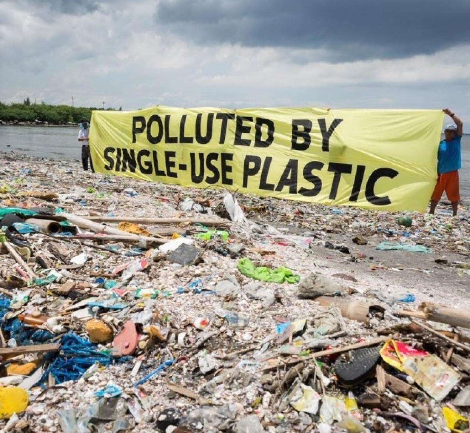 activists on a polluted beach