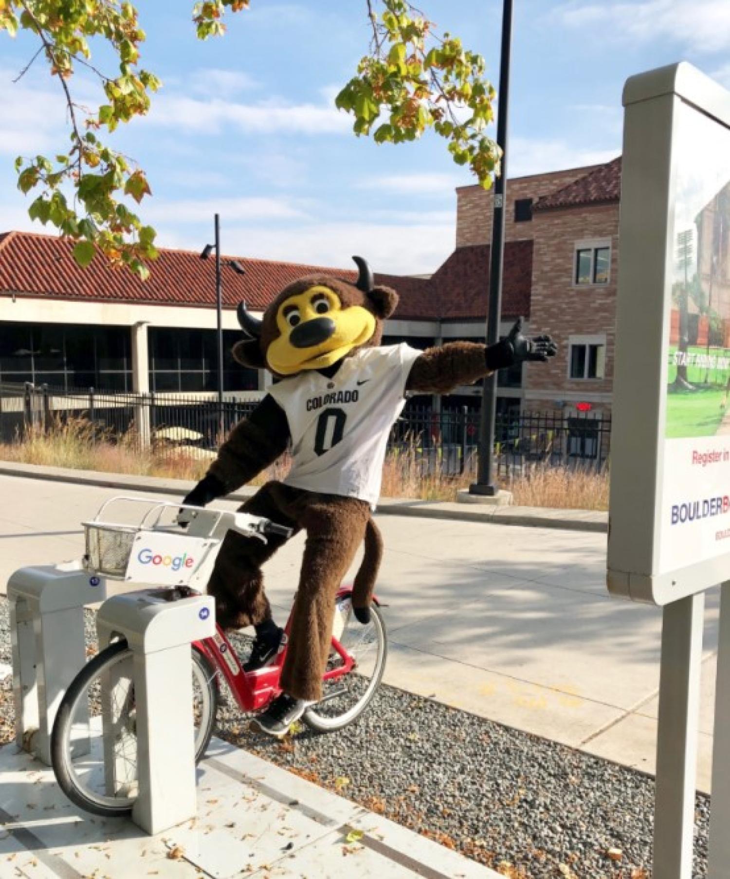 Chip on a B-cycle bike outside the rec center