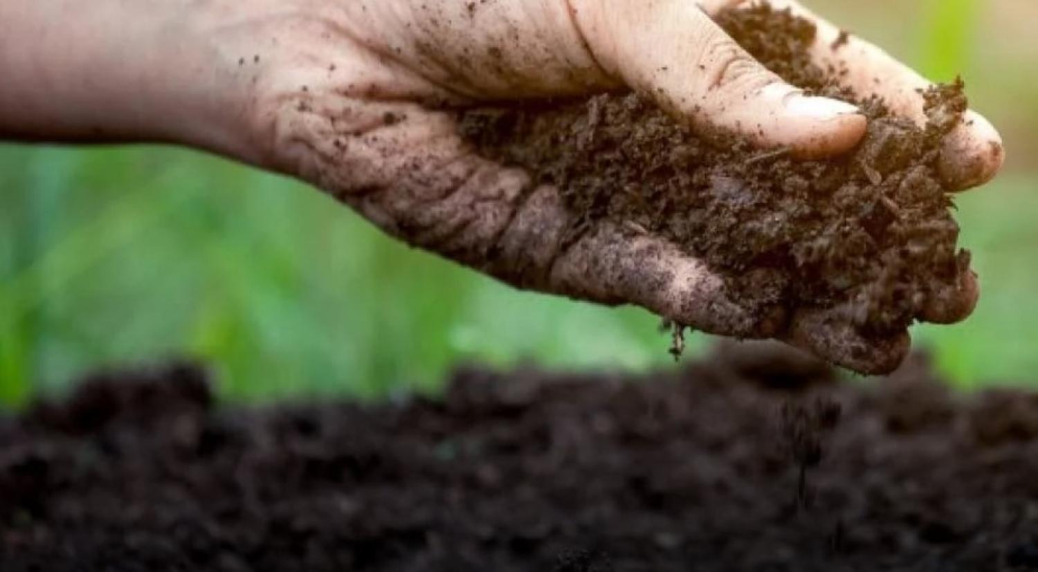 hand digging in soil