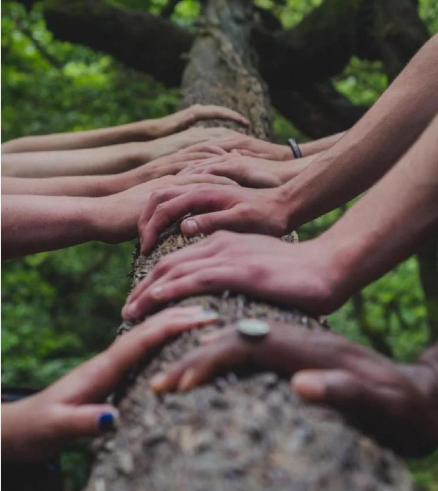 hands touching a tree trunk